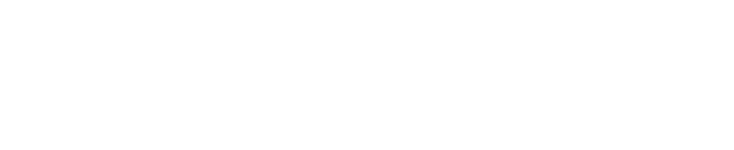 Intermont Partners